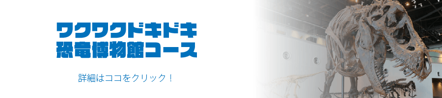 ワクワクドキドキ恐竜博物館コース